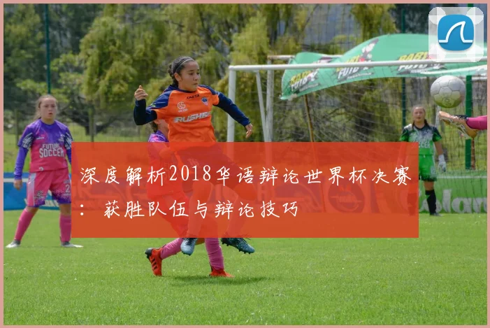 深度解析2018华语辩论世界杯决赛：获胜队伍与辩论技巧